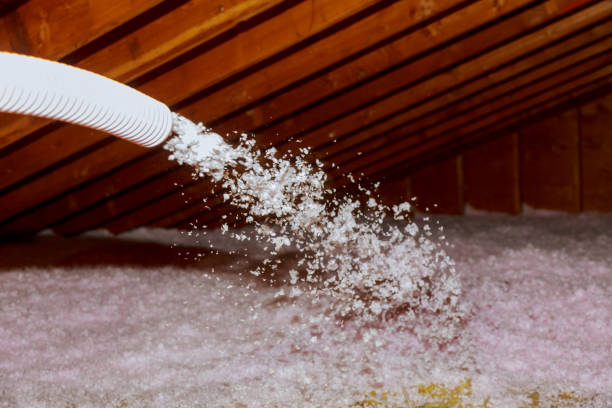Best Insulation Materials and Products in Snohomish, WA