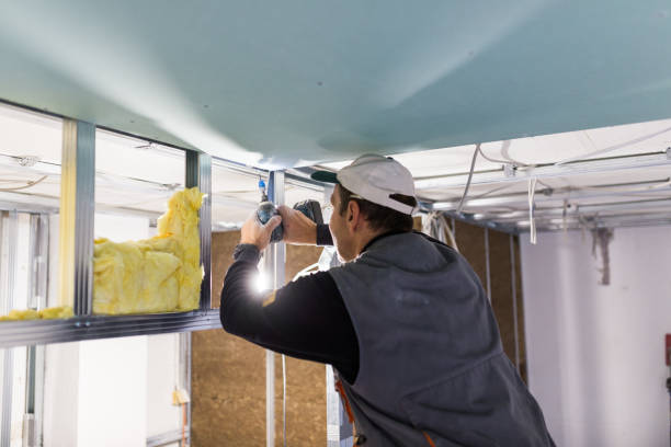 Best Types of Insulation in Snohomish, WA