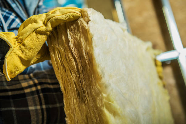 Best Residential Insulation in Snohomish, WA
